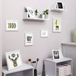 Picture Frame Set – Rigid Plastic – Black – 10 Pieces in Various Sizes
