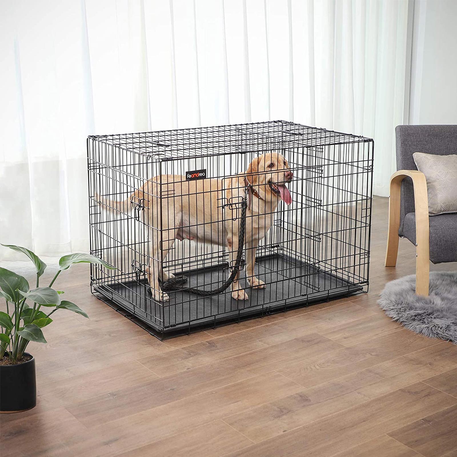 Dog Cage – Metal – Black – Folding Design with 2 Doors and Tray, XXXL 48