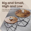 Set of 2 Coffee Tables – Steel Frame – Brown and Black – Removable Tabletop, Modern Style