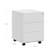 Mobile File Cabinet – Metal – Matte Black – Lockable, 3 Drawers, Pre-Assembled