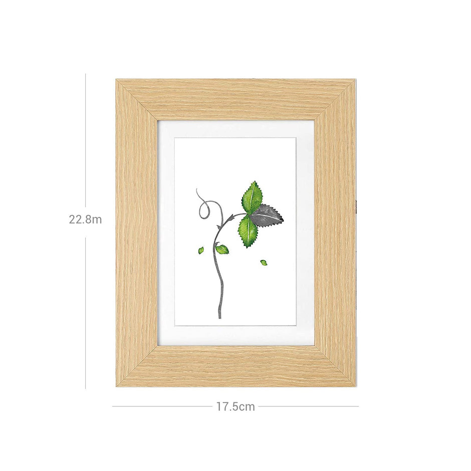 Picture Frame Set – Wood – White, Grey, Brown – Table and Wall Display for 4 x 6 and 5 x 7 Inch Photos