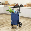 Shopping Trolley – Solid – Grey – 35L Capacity with Insulated Cooling Bag and Detachable Backpack