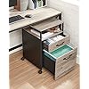 Mobile Office File Cabinet – Steel – Rustic Brown and Black – Rolling with Open Compartment