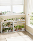 Adjustable Rack – Bamboo – White – 3-Tier Space-Saving Wall Shelf 60 x 15 x 54 cm