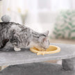 Cat Tree – Engineered Wood – Light Grey – Multi-Level with Hammock and Feeder Bowl