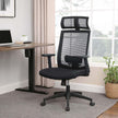 Mesh Office Chair – Mesh Fabric – Black – Ergonomic with Adjustable Lumbar Support and Headrest