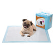 Disposable Pet Training Pads – Highly Absorbent 5-Layer Design – Leakproof Base – 60 x 90 cm – 55 Pack