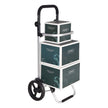 Foldable Shopping Cart – Solid Material – Grey – With Insulated Cooling Bag and Large Capacity 35L
