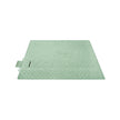 Picnic Blanket – Fabric – Mint Green with Leaf Pattern – 300 x 200 cm