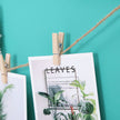 Grid Panel Photo Wall – Metal Mesh – Rose Gold – Multifunctional DIY Display with Clips and S Hooks