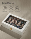 Watch Box – Faux Leather – Black – 12-Slot with Glass Lid and Removable Pillows