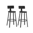 Tall Bar Stools – Heavy-Duty Steel – Rustic Brown and Black – Backrest Design, Easy Assembly, 73.2 cm High Seat