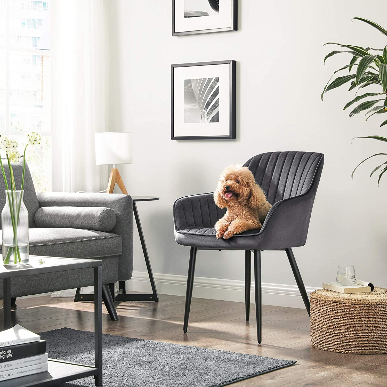 Upholstered Dining Chair – Velvet – Grey – Armrests, Metal Legs, 110 kg Load Capacity