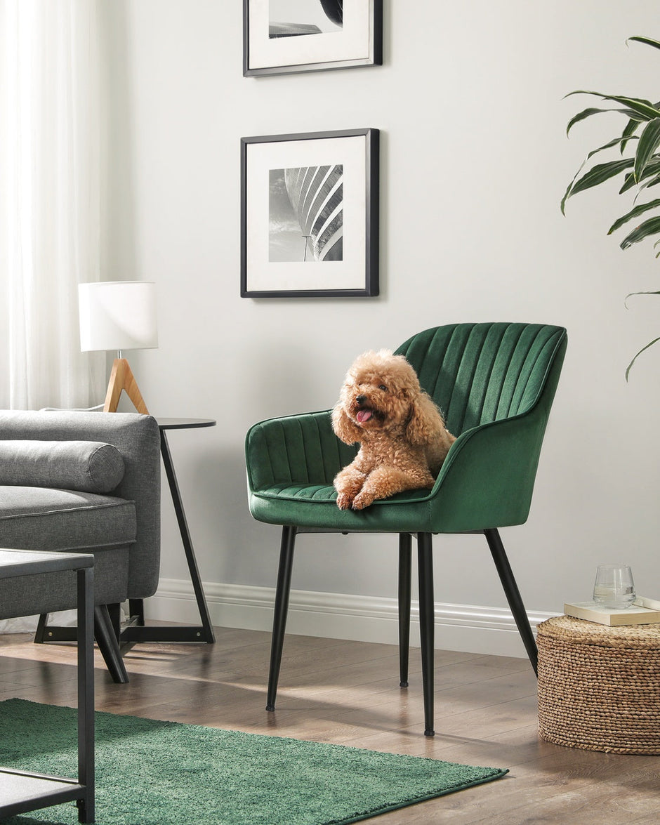 Dining Chair – Velvet – Grey – Upholstered with Armrests, Metal Legs, 110 kg Load Capacity