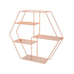 Metal Wall-Mounted Shelves – Rose Gold – Hexagonal Design – Decorative Floating Shelf with 4 Mesh Shelves