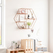 Metal Wall-Mounted Shelves – Rose Gold – Hexagonal Design – Decorative Floating Shelf with 4 Mesh Shelves