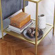 2-Tier End Table – Tempered Glass and Mesh – Gold and Transparent – Stable Steel Frame