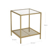 2-Tier End Table – Tempered Glass and Mesh – Gold and Transparent – Stable Steel Frame