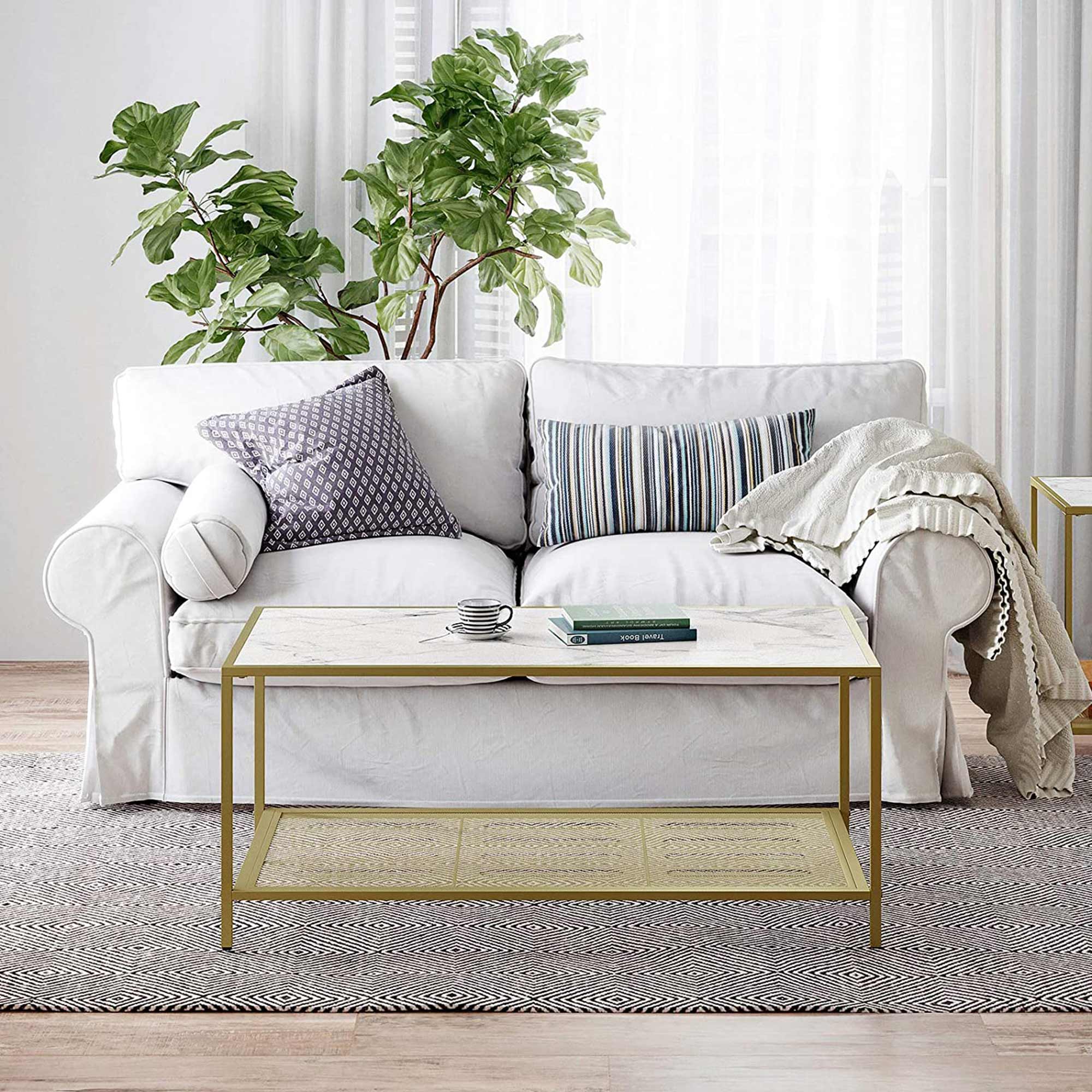 Coffee Table – Tempered Glass – Gold and Transparent – With Mesh Shelf and Stable Steel Frame
