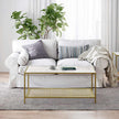 Coffee Table – Tempered Glass – Gold and Transparent – With Mesh Shelf and Stable Steel Frame