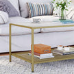 Coffee Table – Tempered Glass – Gold and Transparent – With Mesh Shelf and Stable Steel Frame