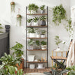 Ladder Shelf – Wood and Metal – Rustic Brown and Black – 5-Tier Industrial Design
