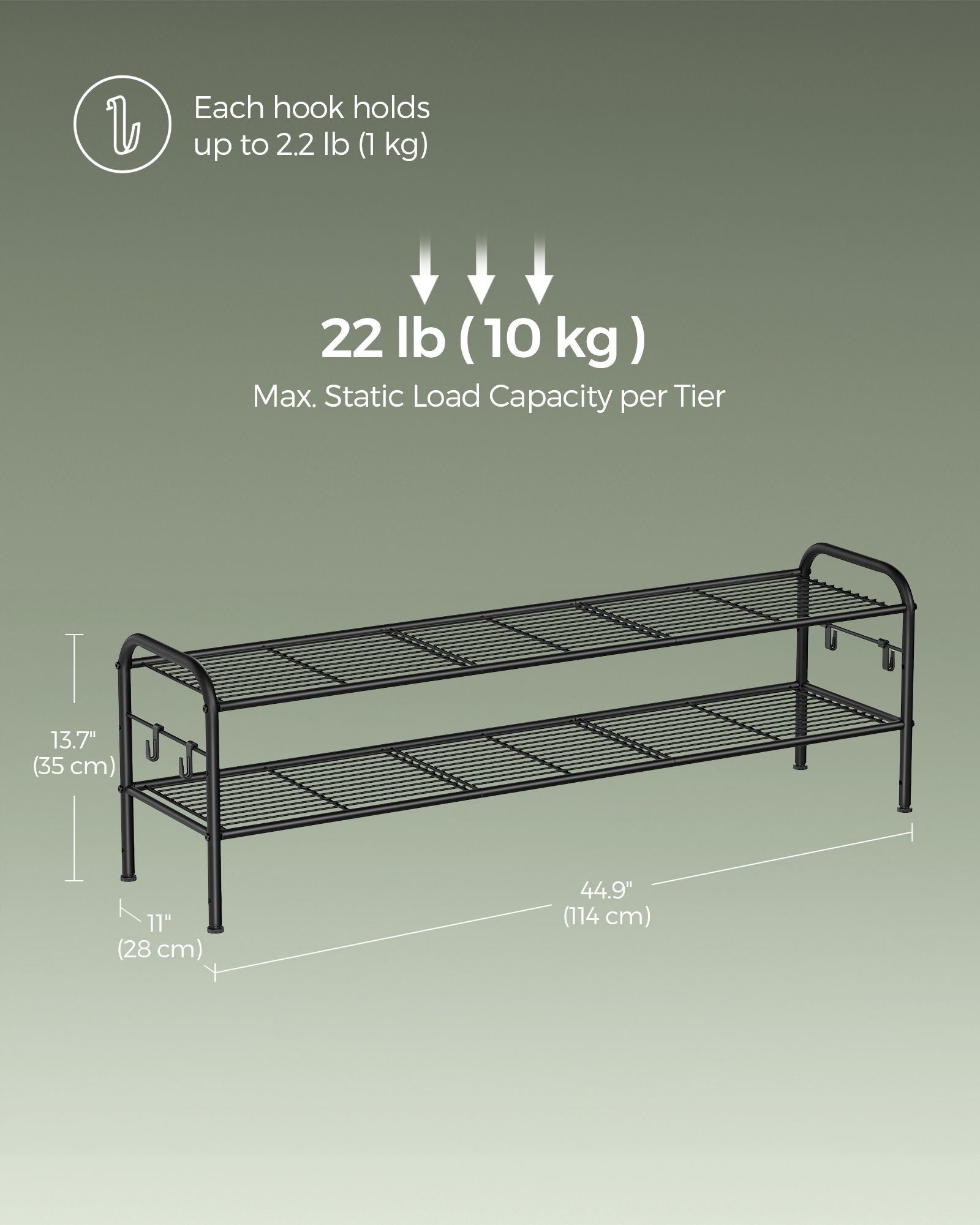 Shoe Rack – Metal – Ink Black – 2-Tier Design with 4 Hooks, Holds 12 Pairs
