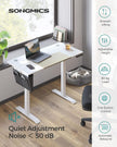 Electric Standing Desk – Metal – Black – Height Adjustable
