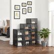 Stackable Shoe Storage Boxes – Plastic – Ink Black – Set of 6 with Clear Doors