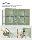 Stackable Shoe Boxes – Plastic – Transparent and Laurel Green – Foldable and Versatile, Fits UK Size 9