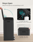 Dual Compartment Pedal Bin – Steel – Ink Black – Soft-Close Lid with Inner Buckets