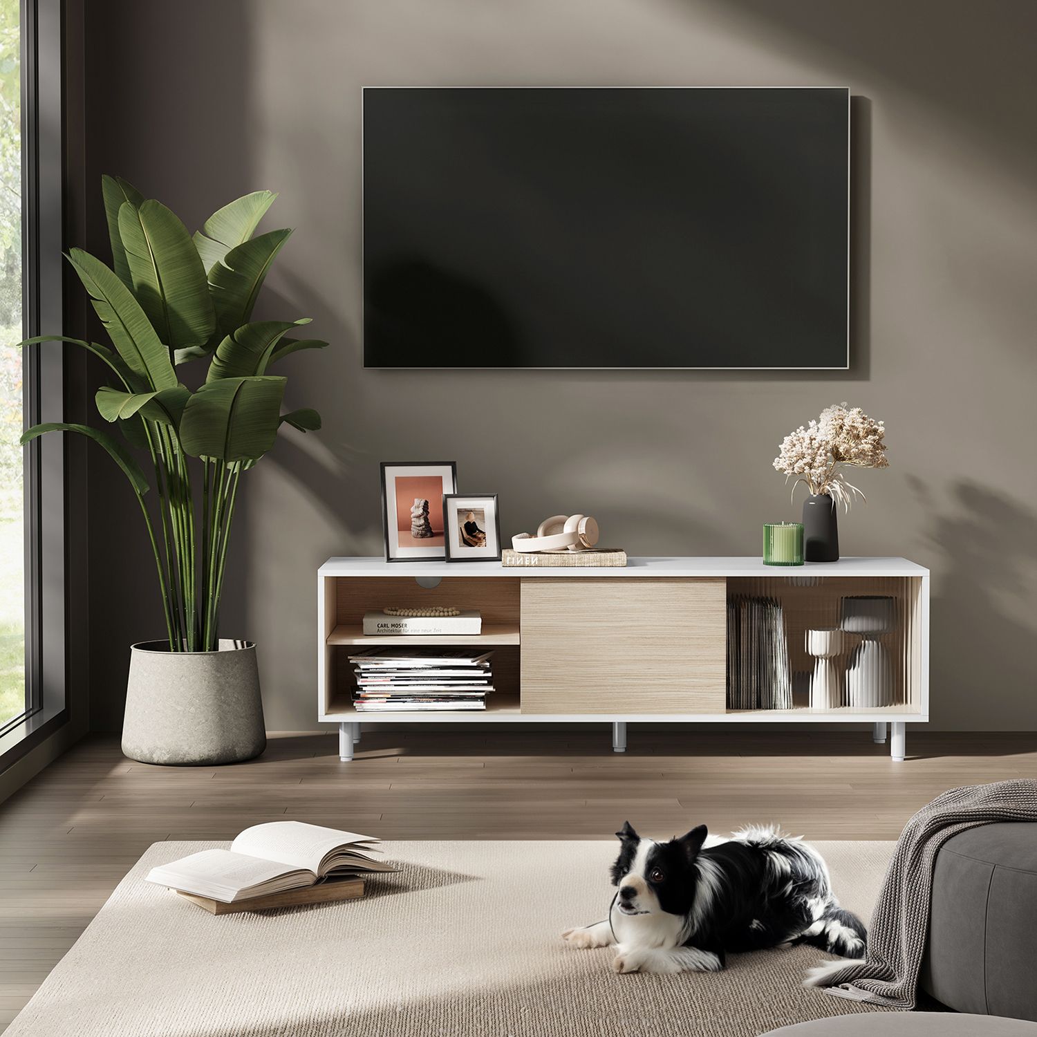 TV Stand – Wood – Cloud White and Natural Beige – Modern Design with Fluted Glass