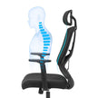 Ergonomic Office Chair – Mesh – Black – Adjustable Headrest, Armrest, and Lumbar Support