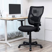 Mid-back Office Chair – Mesh – Black – Ergonomic with Adjustable Lumbar Support and Armrests