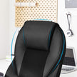 High Back Executive Office Chair – Durable Material – Black – Ergonomic Design, Height Adjustable