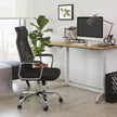 Swivel Office Chair – Mesh – Black – Ergonomic, Height Adjustable with Lumbar Support and Tilt Function