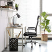 Swivel Office Chair – Mesh – Black – Ergonomic, Height Adjustable with Lumbar Support and Tilt Function