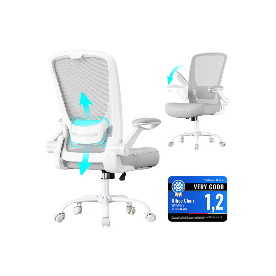 Ergonomic Office Chair – Mesh – Black – Adjustable Lumbar Support, Folding Armrests, 360° Swivel
