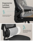 Ergonomic Office Chair – Mesh – Ink Black – High Back with Foldable Armrests and Adjustable Headrest