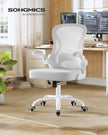 Ergonomic Office Chair – Mesh – Ink Black – Lumbar Support, Rocking Function, Flip-Up Armrests