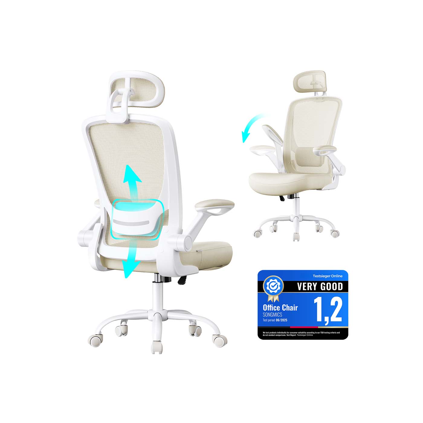 Ergonomic Office Chair – Mesh – Black – Adjustable Lumbar Support, Folding Armrests, 360° Swivel