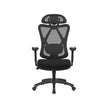 Ergonomic Office Chair – Mesh Fabric – Black – Adjustable Lumbar Support and Headrest