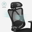 Ergonomic Office Chair – Mesh Fabric – Black – Adjustable Lumbar Support and Headrest