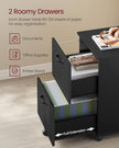 2-Drawer Filing Cabinet – Matte Black – Rolling Design for A4 and Letter-Size Files