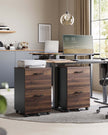2-Drawer Filing Cabinet – Wood – Natural Walnut and Ink Black – Rolling Design for A4 and Letter Sized Documents