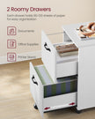 Mobile File Cabinet – Wood and Metal – Rustic Brown and Black – Rolling with 2 Drawers
