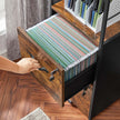 Filing Cabinet – Steel – Rustic Brown and Black – 2 Drawers with Open Shelf