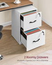 File Cabinet – Wood – Cloud White – Lockable Drawers, Adjustable Hanging Rails