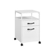 File Cabinet – Steel – Cloud White – 2 Drawers with Open Compartment and Wheels
