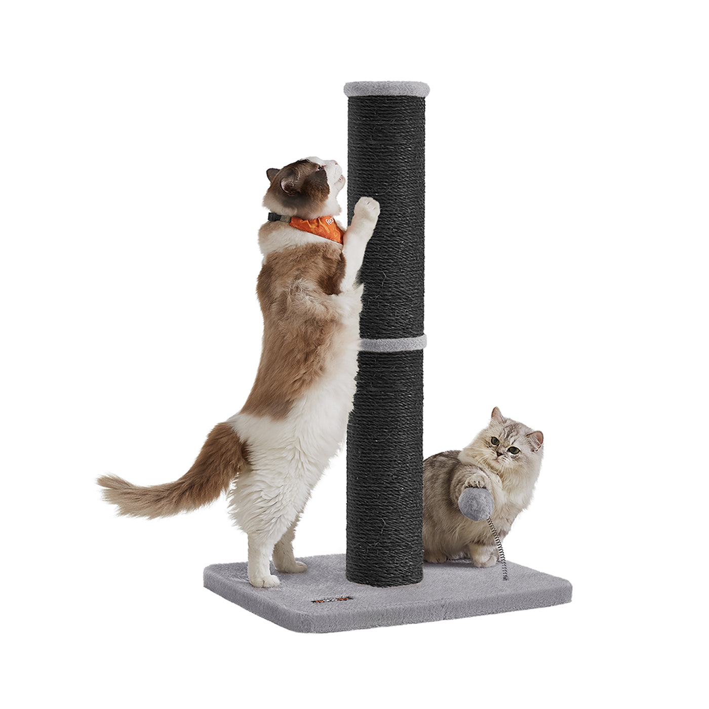 Cat Scratching Post – Sisal – Ink Black – 85 cm Tall with Spring Pompom and Built-in Bell